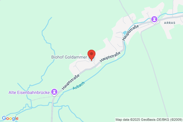 Pension Goldammer