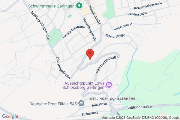 Clearwater Consulting Einkaufsberatung Sebastian Raible
