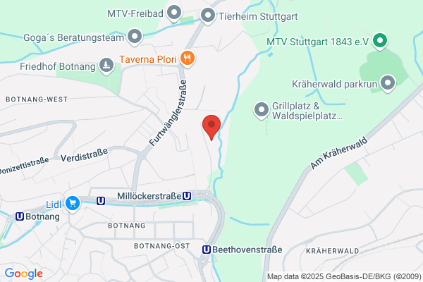 Dipl.-Betriebswirt(FH) Peter H. Gajek