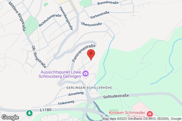 Gesellschaft für Organisation und Entscheidung