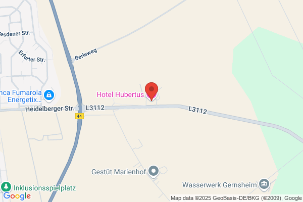 Hotel Hubertus Gernsheim