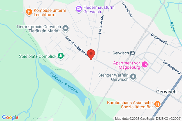 Schaaf Manfred Elektro Service Gerwisch GbR
