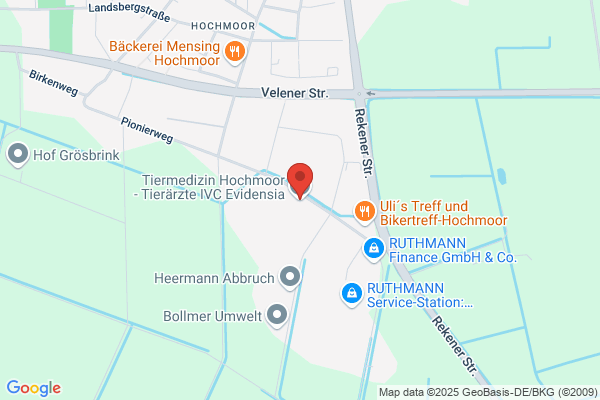 Tiermedizin Hochmoor