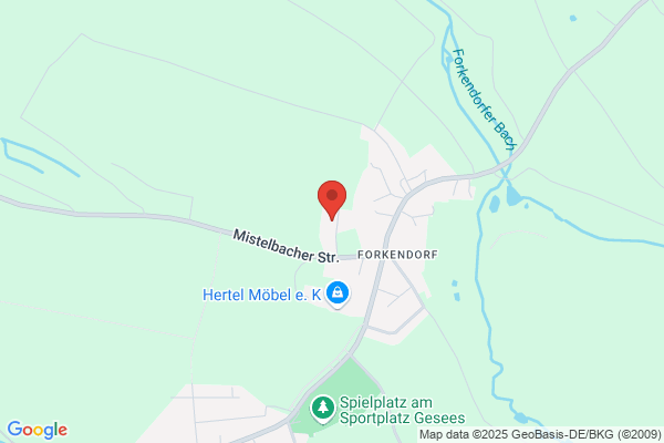 Förster Die Malermeister