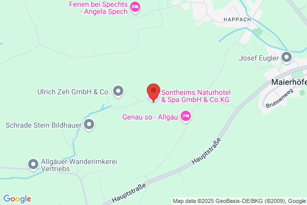Gasthof - Pension Sontheim