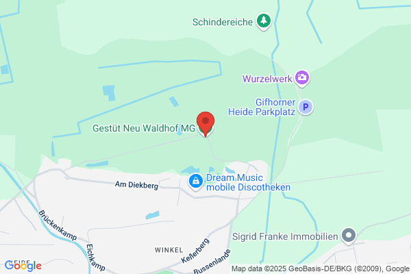 Barockpferde Gestüt Neu-Waldhof H.-H. Rüdebusch