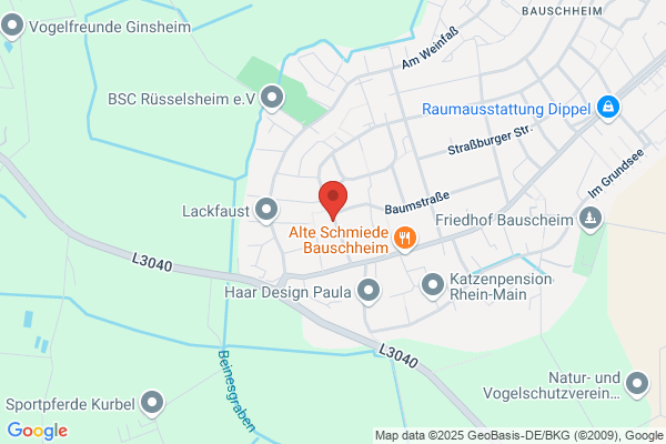 mein-exposé