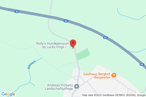 Die Mobile Hundeschule dogX