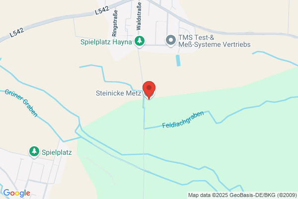 Steinicke