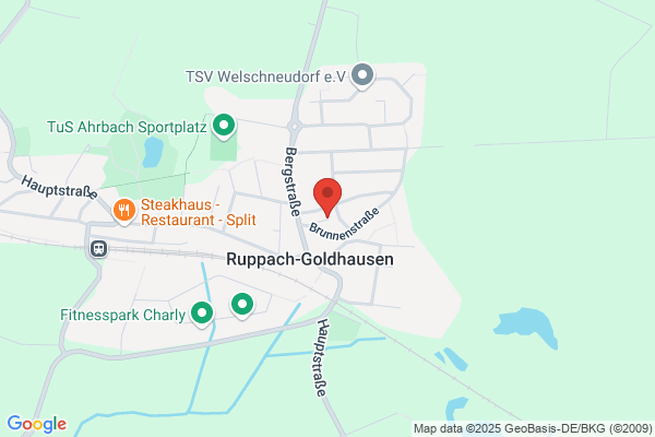 Werner Menzel
