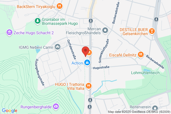 Mikfeld