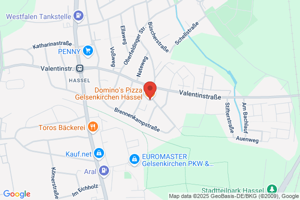 Domino's Pizza Gelsenkirchen Hassel
