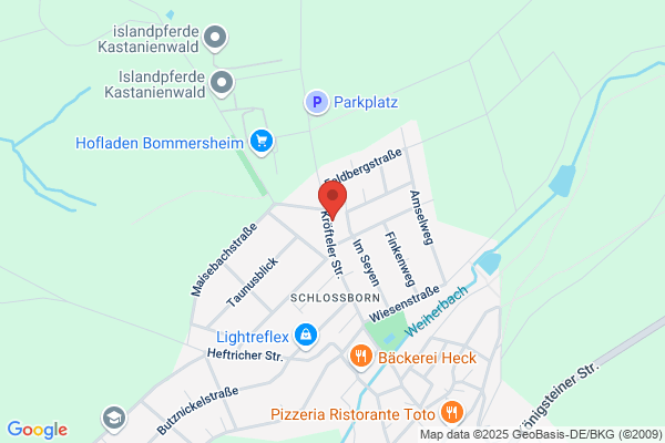 DYNTRONIC GmbH