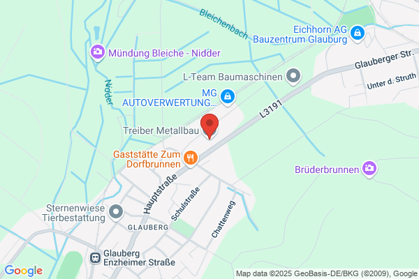 Elfriede Treiber