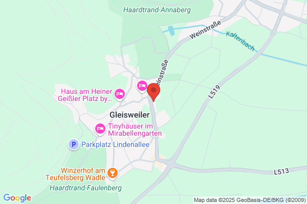 PFALZWERKE Ladestation