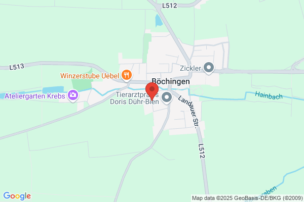 Allgemeiner Sportverein (ASV) Böchingen