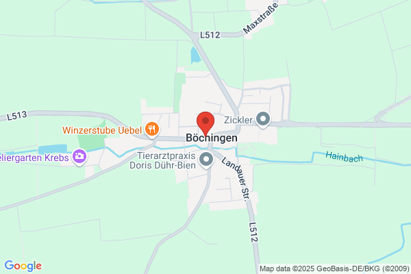 Protestantisches Pfarramt Böchingen