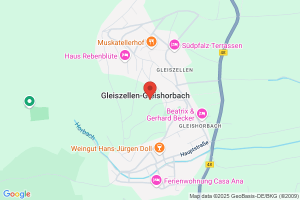 Heinz Wissing