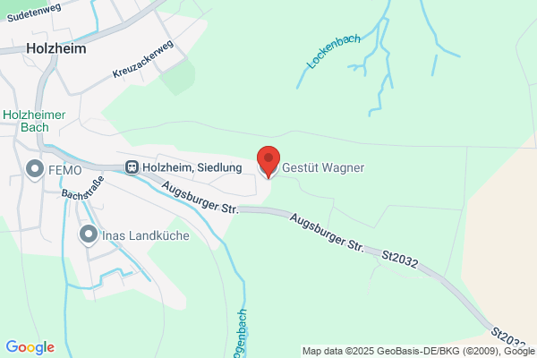 Eugen Wagner