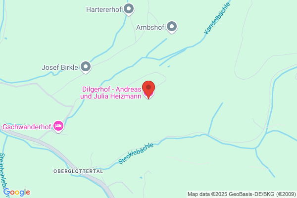 VektorWizard UG ( haftungsbeschränkt)