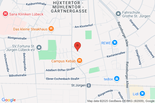 Berufsverband Selbständige in der Informatik (BVSI) e.V.