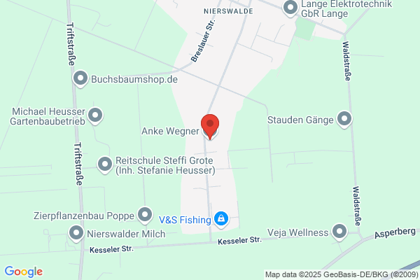Anke Wegner