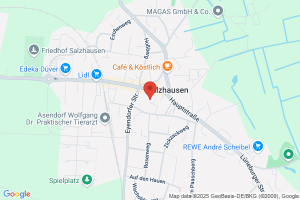 OEL-EX Salzhausen Ölspurbeseitigung