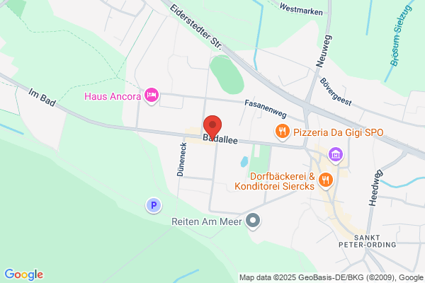 Pizzaservice Pronto
