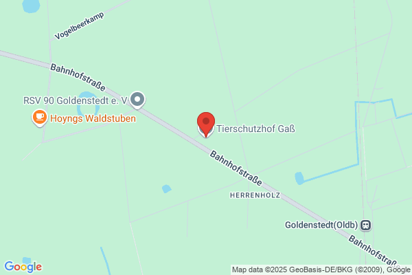 Tierhilfe Goldenstedt und Umgebung e. V.