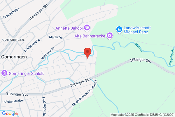 Internetservice Businger