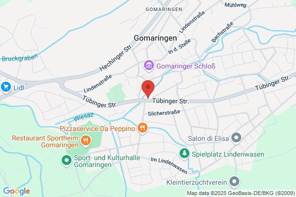 Tanzetage