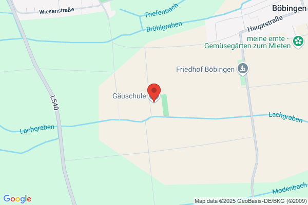 Grundschule Böbingen/Gommersheim in den Feldern