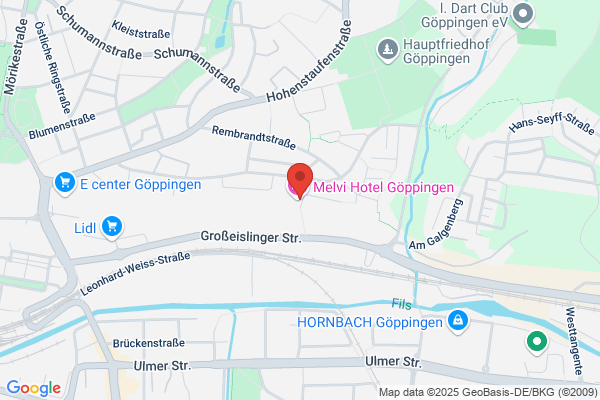 Hotel International