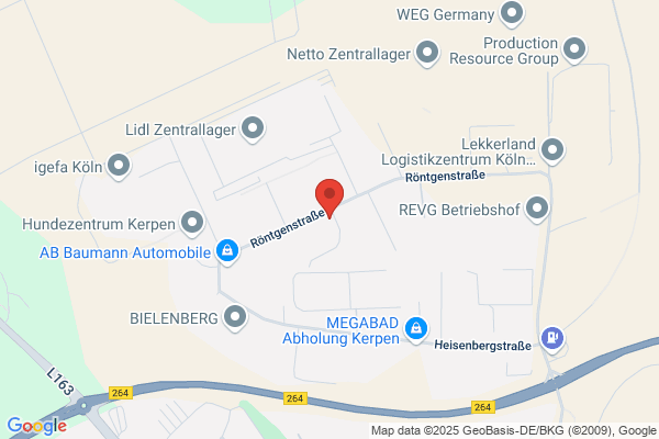 Wolfgang Mann