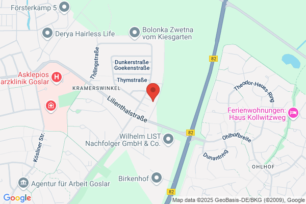 Dach- und Holzbau Hense GmbH