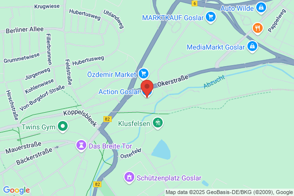 Action Goslar