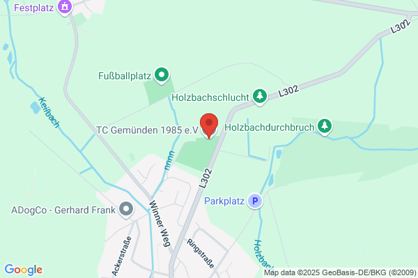 Tennisclub Gemünden e.V. 85