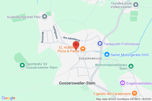 Groß Berthold MegaMed-Notfallprogramme