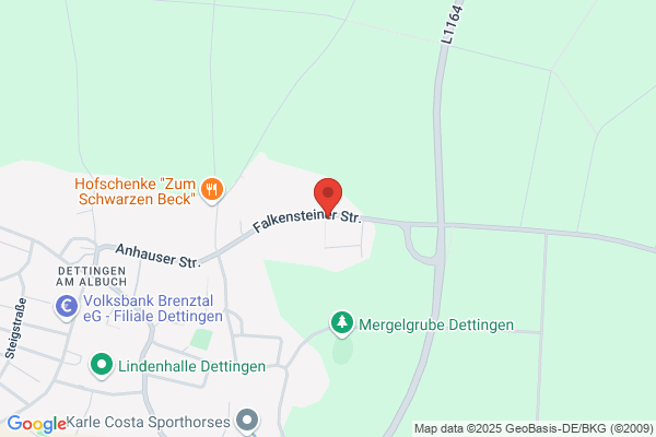 Dangel Transporte GmbH