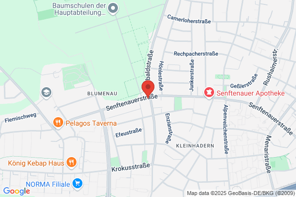 Karl Stelzer Die Haarmacher