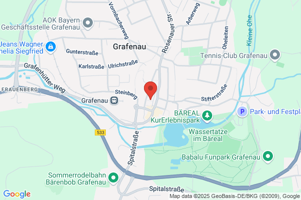 Rüdiger Greß