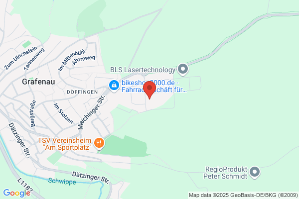 Luginsland Holzbau GmbH