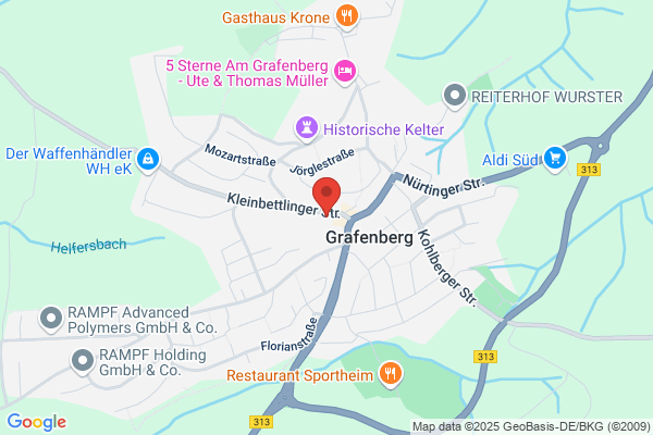 Heinz Gneiting