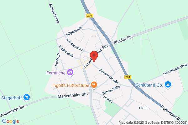 Ing.  Schellenberg Karl-Heinz