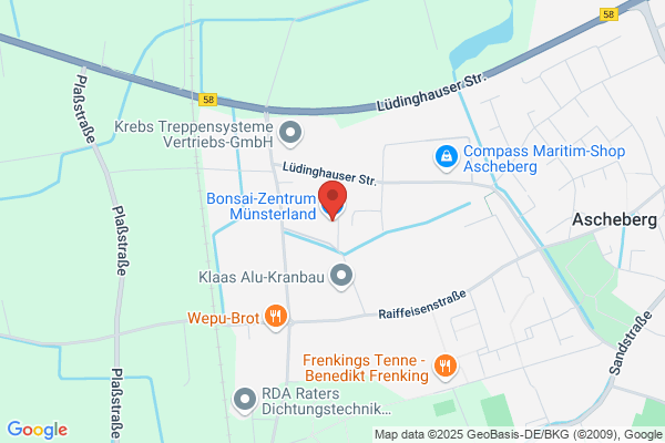 bonsaigarten-tokoname.de