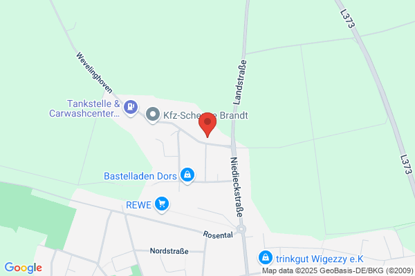 holthausen elektronik GmbH
