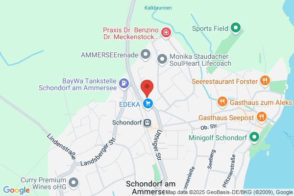 orthocast GmbH