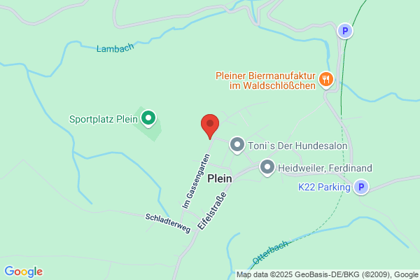 Ortsgemeinde Plein