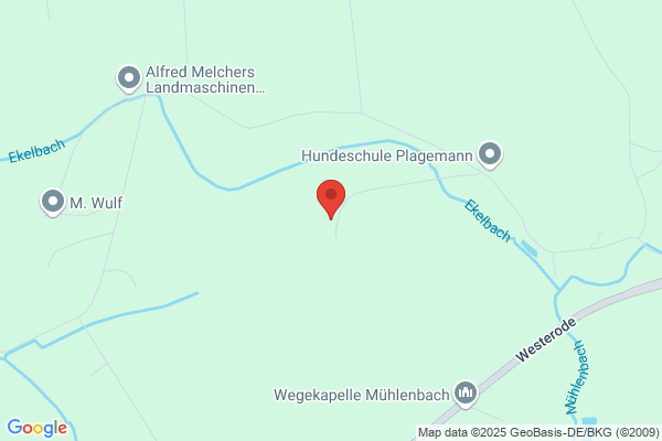 Heiner Wübbels
