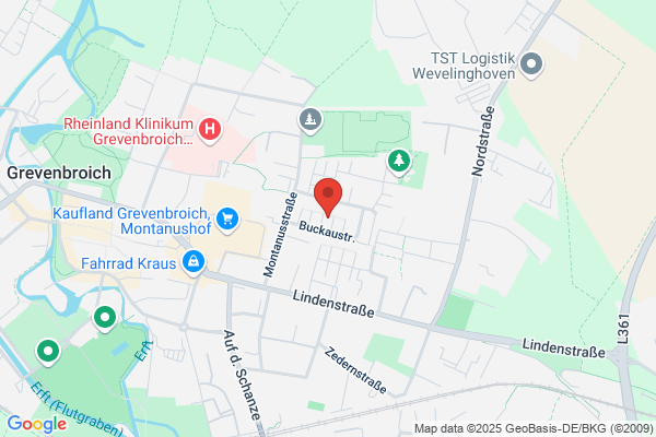 Elektro Biesen